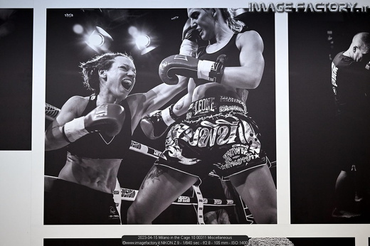 2023-04-15 Milano in the Cage 10 00311 Miscellaneous